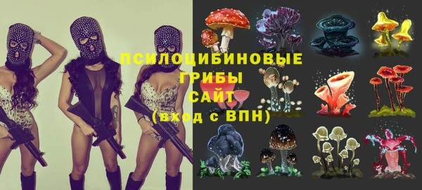 стаф Вязники